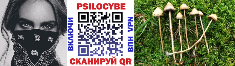 МЕГА ссылка  купить  цена  Могоча  Галлюциногенные грибы прущие грибы 